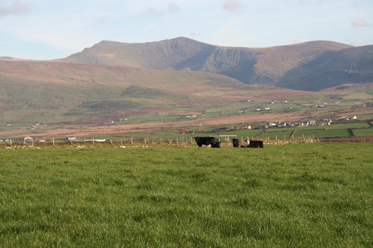 Coill An Rois B&B Ballydavid Extérieur photo